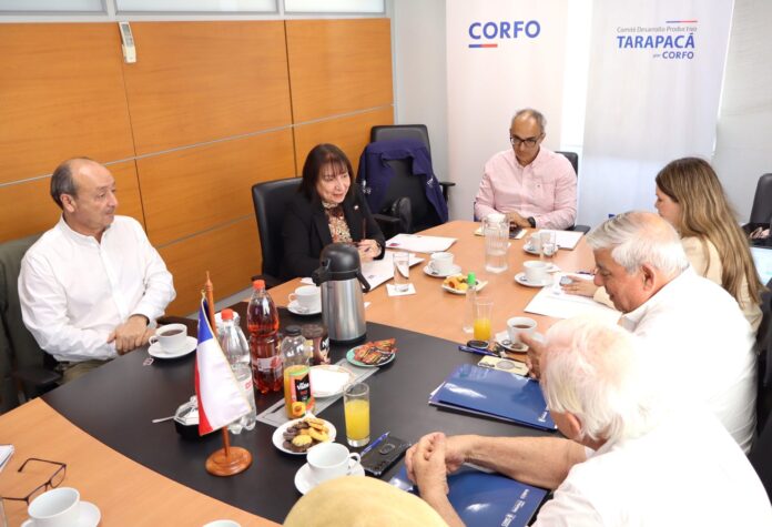 Comité Resolutivo DFL 15 aprueba bases 2027 y simplifica proceso de postulación en Tarapacá