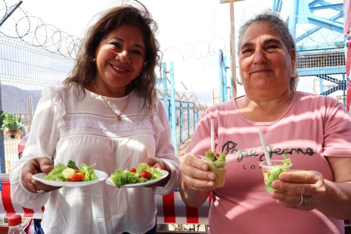 En Chanavayita cosechan hortalizas cultivadas con agua de mar