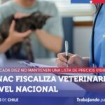 SERNAC detecta que siete de cada diez veterinarias no exhiben una lista de precios visible