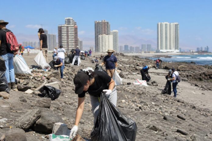 Recolectan cerca de una tonelada de residuos en jornada de limpieza de Playa Brava