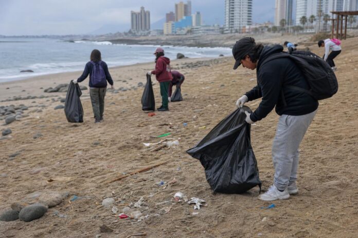 Estudiantes y autoridades realizaron operativo de limpieza en Playa Brava de Iquique