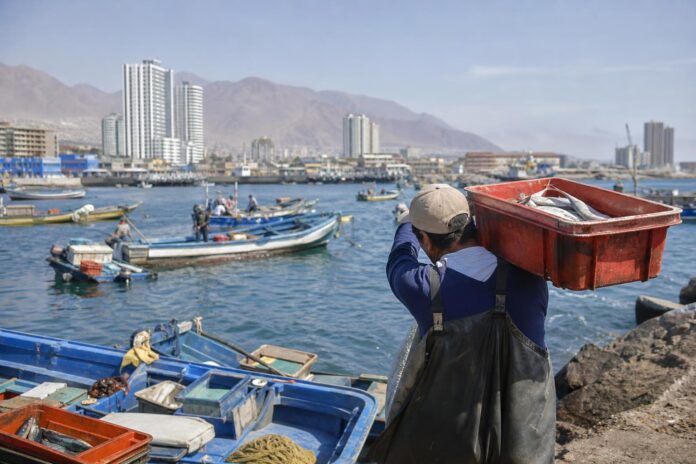Entregan quinto cupón de pesca artesanal a 103 embarcaciones de Tarapacá