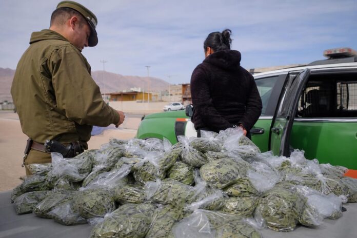 Decretan prisión preventiva para ambulante acusada de vender más de 10 kilos de hojas de coca en Alto Hospicio