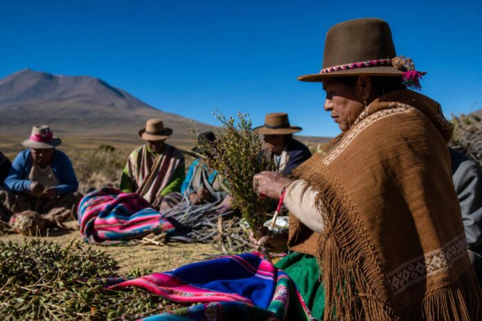 Asociación Indígena Ágil Mallku se incorpora a la red de Puntos de Cultura Comunitaria