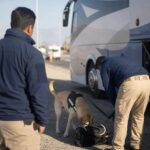 Detienen a ciudadano boliviano por tráfico de cocaína base en bus interurbano en Pozo Almonte