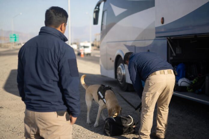 Detienen a ciudadano boliviano por tráfico de cocaína base en bus interurbano en Pozo Almonte