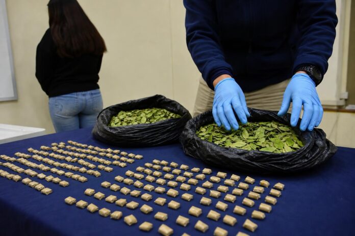 Mujer quedó en prisión preventiva tras ser detenida con más de 10 kilos de hojas de coca en Alto Hospicio