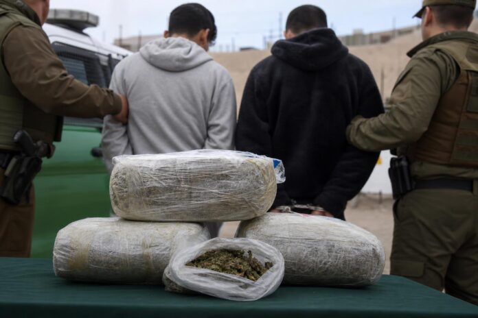 Dos adolescentes fueron detenidos con más de un kilo de marihuana en Alto Hospicio