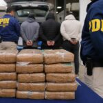 PDI incauta 811 kilos de marihuana ingresados desde Bolivia a la Región Metropolitana
