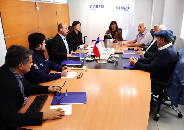Corfo publica bases para nuevo concurso DFL 15 en Tarapacá
