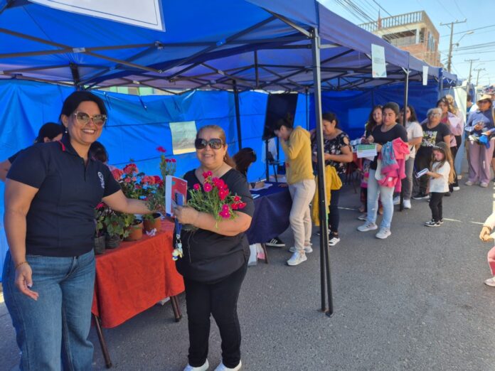 Municipio de Alto Hospicio realizó operativo social en el sector Santa Rosa
