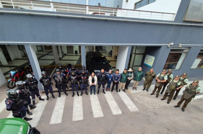 Operativo intersectorial deja decomisos, sumarios sanitarios y citaciones por comercio ilegal en Alto Hospicio