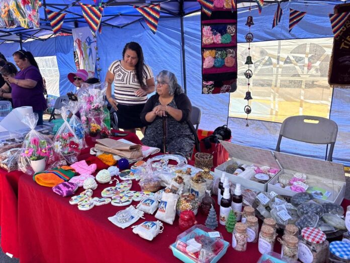 Clubes de personas mayores de Alto Hospicio exhibieron sus creaciones en Expo 2026