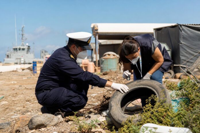Autoridad sanitaria y Gobernación Marítima refuerzan vigilancia por riesgo de zancudo Aedes aegypti
