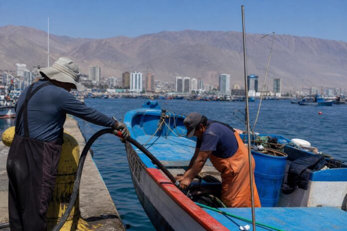 Gobierno confirma sexto pago del Cupón Pesca Artesanal y extiende subsidio hasta diciembre en Tarapacá