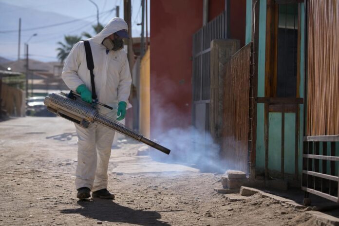 Seremi de Salud refuerza controles en el norte de Iquique tras detectar huevos de Aedes aegypti