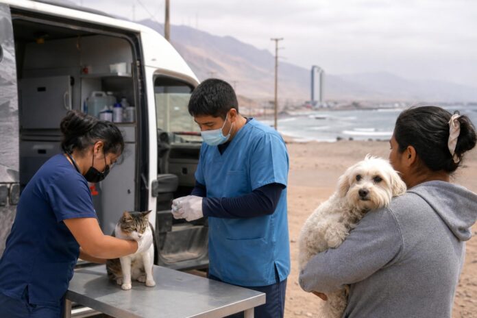 Clínica Veterinaria Móvil inicia segundo año de atención en el borde costero de Tarapacá