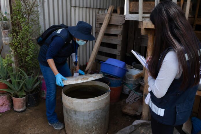 Detectan huevos de Aedes aegypti e inician operativo de control en el sector norte de Iquique