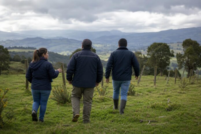 Gobierno mantendrá y ampliará el Plan Buen Vivir en la Macrozona Sur