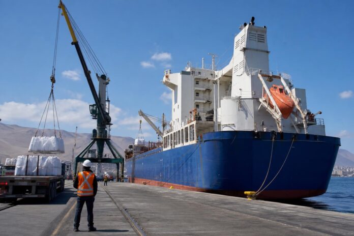 Puerto de Iquique recibe por primera vez al buque Oriental Reefer con más de 7.000 toneladas de carga