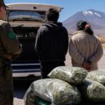 Madre y su hijo de 17 años fueron detenidos con 17,7 kilos de hojas de coca en Colchane