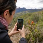 Ministerio del Medio Ambiente invita a registrar flora y fauna de Chile mediante iNaturalist