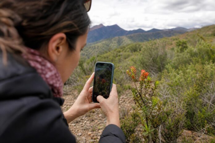 Ministerio del Medio Ambiente invita a registrar flora y fauna de Chile mediante iNaturalist