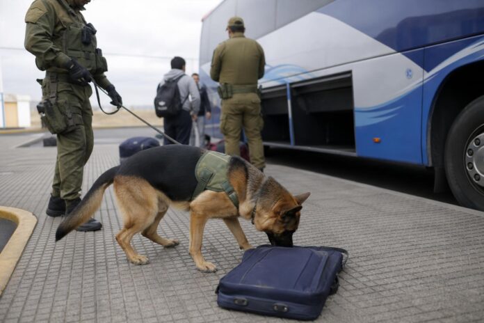 Detienen a pasajero que transportaba 1.410 dosis de pasta base en bus hacia caleta Chipana