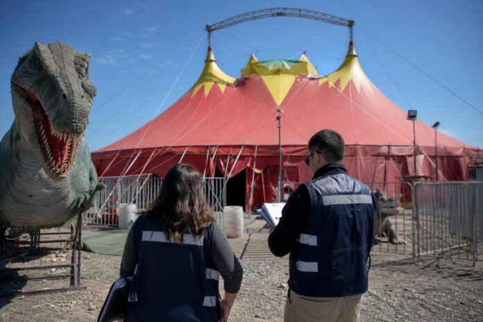 Municipio de Concepción clausura Circo de Dinosaurios por funcionar sin autorización