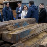 Fiscalía de Arica confirma presencia de droga en madera incautada y aborda pedido boliviano para detener su quema