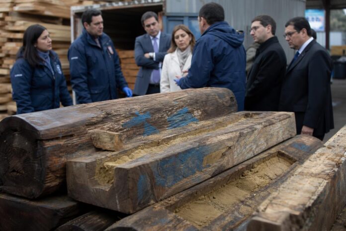 Fiscalía de Arica confirma presencia de droga en madera incautada y aborda pedido boliviano para detener su quema