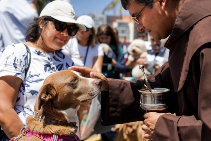 Iquique celebra a San Francisco de Asís con actividades religiosas y bendición de mascotas