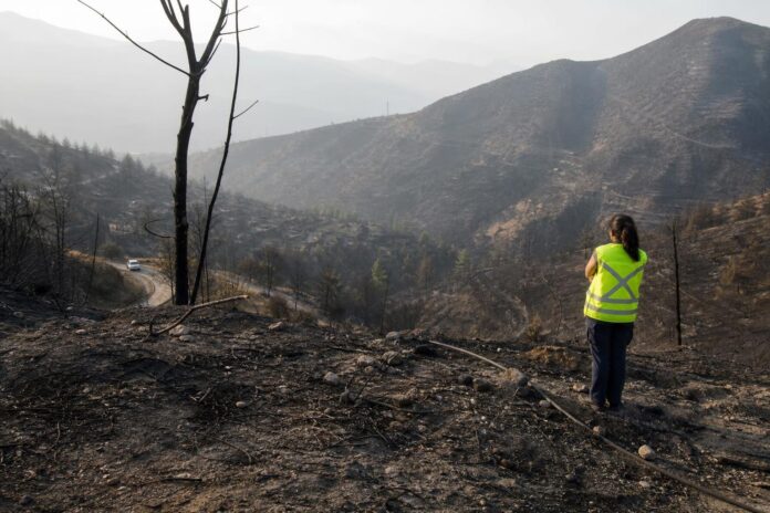 Alcaldesa de Las Condes pide avanzar en investigación por incendio en San Carlos de Apoquindo